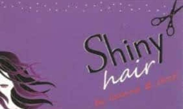 SHINY HAIR-ΚΟΜΜΩΤΗΡΙΟ ΚΑΜΑΤΕΡΟ-ΘΕΟΔΩΡΙΔΟΥ ΙΩΑΝΝΑ Κ ΣΙΑ Ο.Ε