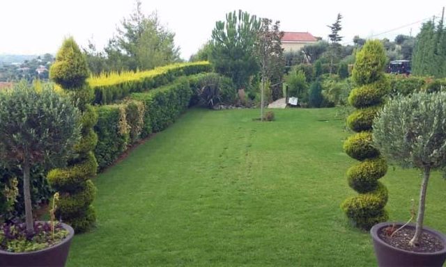 GARDEN ENGINEERING-ΚΑΤΑΣΚΕΥΗ ΚΗΠΩΝ ΚΡΥΟΝΕΡΙ ΑΤΤΙΚΗΣ-ΜΑΣΕΛΗΣ ΝΙΚΟΛΑΟΣ