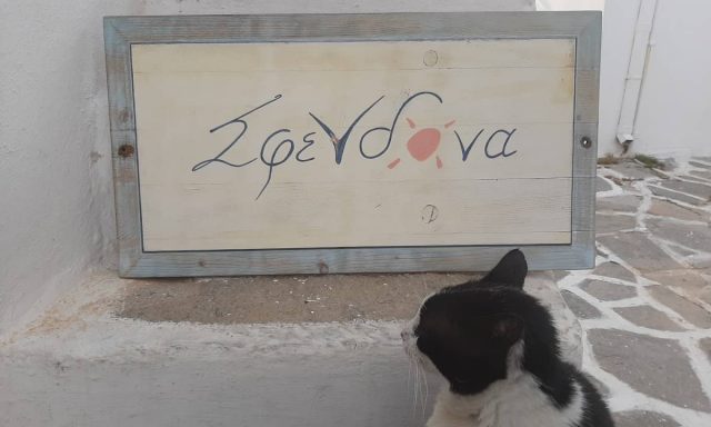 ΣΦΕΝΔΟΝΑ – ΜΑΝΩΛΑΚΗ ΣΠΥΡΙΔΟΥΛΑ – ΕΙΔΗ ΔΩΡΩΝ ΚΑΙ ΛΑΪΚΗΣ ΤΕΧΝΗΣ – ΝΑΟΥΣΑ ΠΑΡΟΥ ΚΥΚΛΑΔΕΣ