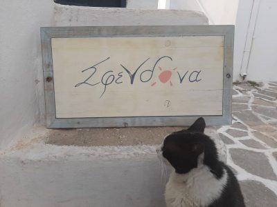 ΣΦΕΝΔΟΝΑ – ΜΑΝΩΛΑΚΗ ΣΠΥΡΙΔΟΥΛΑ – ΕΙΔΗ ΔΩΡΩΝ ΚΑΙ ΛΑΪΚΗΣ ΤΕΧΝΗΣ – ΝΑΟΥΣΑ ΠΑΡΟΥ ΚΥΚΛΑΔΕΣ