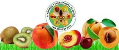 Η ΝΕΑ ΜΕΛΙΣΣΑ – ΑΓΡΟΤΙΚΟΣ ΣΥΝΕΤΑΙΡΙΣΜΟΣ ΣΚΥΔΡΑΣ – ΣΚΥΔΡΑ ΠΕΛΛΑΣ