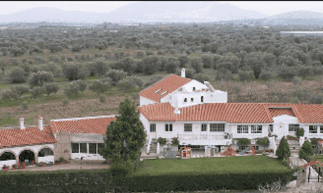 ΒΑΣΙΛΕΙΟΥ ΗΡΩ ΕΥΑΓΓΕΛΙΑ – ΤΟ ΞΕΚΙΝΗΜΑ – ΠΑΙΔΙΚΟΣ ΣΤΑΘΜΟΣ – ΚΟΡΩΠΙ ΑΤΤΙΚΗΣ