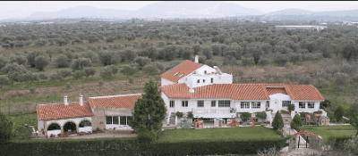 ΒΑΣΙΛΕΙΟΥ ΗΡΩ ΕΥΑΓΓΕΛΙΑ – ΤΟ ΞΕΚΙΝΗΜΑ – ΠΑΙΔΙΚΟΣ ΣΤΑΘΜΟΣ – ΚΟΡΩΠΙ ΑΤΤΙΚΗΣ