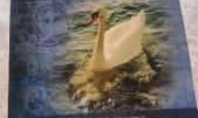 ΕΥΑΓΓΕΛΟΥ ΟΛΓΑ – OLGA’S – ΤΑΒΕΡΝΑ – ΠΛΑΤΑΡΙΑ ΘΕΣΠΡΩΤΙΑΣ