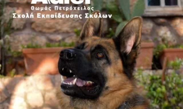 ADLER – ΕΚΤΡΟΦΕΙΑ ΣΚΥΛΩΝ ΚΡΥΟΝΕΡΙ ΑΤΤΙΚΗΣ – ΠΕΤΡΟΧΕΙΛΟΣ ΘΩΜΑΣ