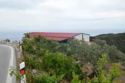 ΕΛΑΙΟΤΡΙΒΕΙΟ ΠΟΡΟΣ ΤΡΟΙΖΗΝΙΑΣ-ΚΟΥΤΟΥΖΗΣ ΚΩΝΣΤΑΝΤΙΝΟΣ