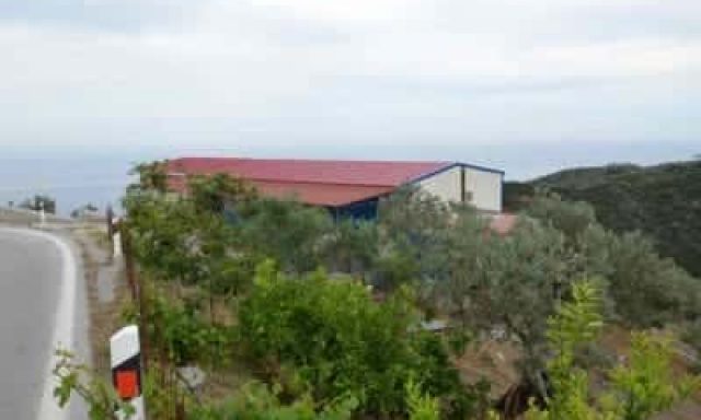 ΕΛΑΙΟΤΡΙΒΕΙΟ ΠΟΡΟΣ ΤΡΟΙΖΗΝΙΑΣ-ΚΟΥΤΟΥΖΗΣ ΚΩΝΣΤΑΝΤΙΝΟΣ