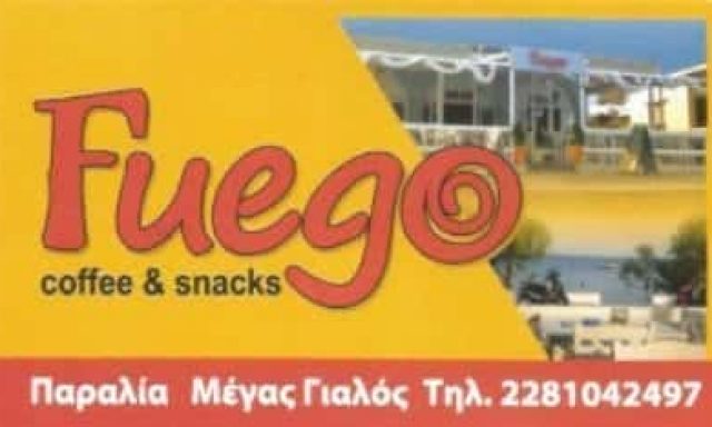 ΛΕΟΝΑΡΔΟΣ ΔΑΜΙΑΝΟΣ – FUEGO – ΑΝΑΨΥΚΤΗΡΙΟ ΣΥΡΟΣ ΚΥΚΛΑΔΩΝ