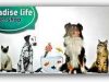 ΜΠΑΣΓΙΟΥΡΑΚΗΣ ΕΜΜΑΝΟΥΗΛ -PARADISE LIFE PET SHOP ΕΥΟΣΜΟΣ ΘΕΣΣΑΛΟΝΙΚΗΣ