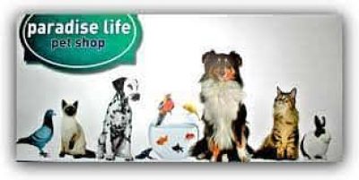ΜΠΑΣΓΙΟΥΡΑΚΗΣ ΕΜΜΑΝΟΥΗΛ -PARADISE LIFE PET SHOP ΕΥΟΣΜΟΣ ΘΕΣΣΑΛΟΝΙΚΗΣ