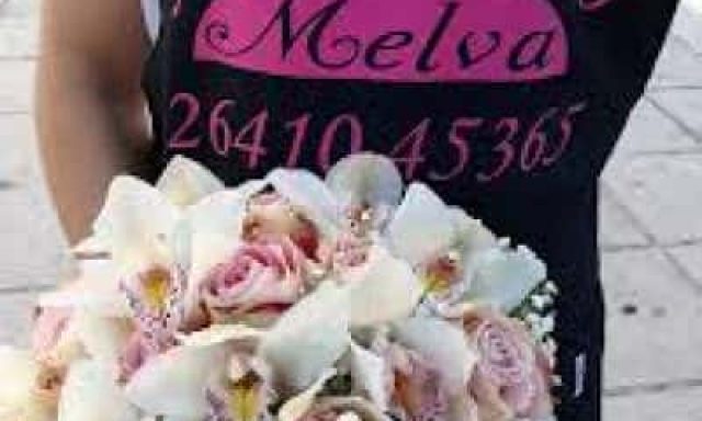MELVA FLOWERS – ΜΑΛΑΚΗ ΕΙΡΗΝΗ – ΑΝΘΟΠΩΛΕΙΟ ΑΓΡΙΝΙΟ ΑΙΤΩΛΟΑΚΑΡΝΑΝΙΑΣ