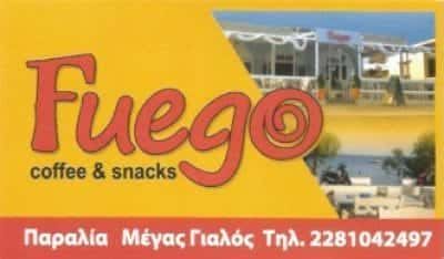 ΛΕΟΝΑΡΔΟΣ ΔΑΜΙΑΝΟΣ – FUEGO – ΑΝΑΨΥΚΤΗΡΙΟ ΣΥΡΟΣ ΚΥΚΛΑΔΩΝ