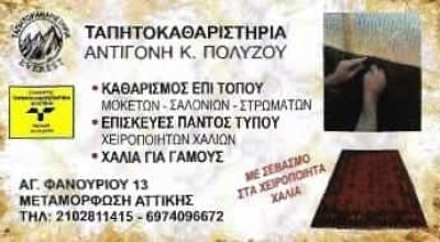 ΤΑΠΗΤΟΚΑΘΑΡΙΣΤΗΡΙΟ ΑΧΑΡΝΕΣ ΑΤΤΙΚΗΣ-ΠΟΛΥΖΟΥ ΑΝΤΙΓΟΝΗ