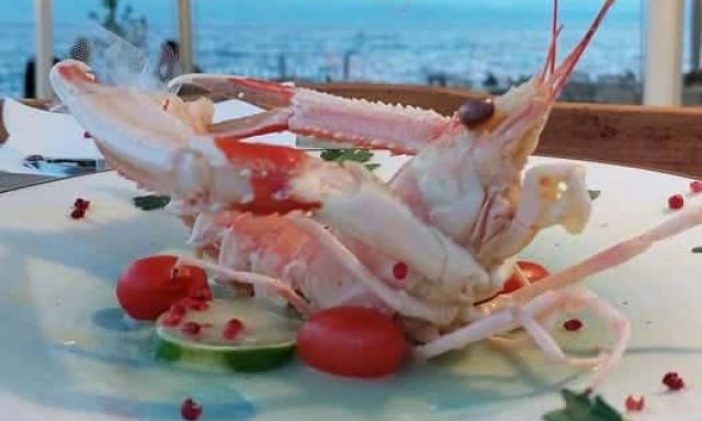 ΠΑΠΑΪΩΑΝΝΟΥ ΚΩΝΣΤΑΝΤΙΝΟΣ – GORGONA DI STEFANO – ΨΑΡΟΤΑΒΕΡΝΑ ΑΜΑΡΥΝΘΟΣ ΧΑΛΚΙΔΑΣ ΕΥΒΟΙΑ