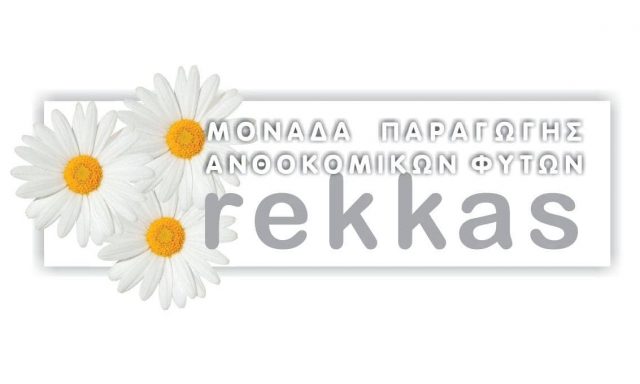ΡΕΚΚΑΣ ΔΗΜΗΤΡΙΟΣ – ΜΟΝΑΔΑ ΠΑΡΑΓΩΓΗΣ ΑΝΘΟΚΟΜΙΚΩΝ – ΘΕΡΜΟΚΗΠΙΟ ΦΥΤΩΡΙΟ – ΒΑΣΙΛΙΚΑ ΘΕΣΣΑΛΟΝΙΚΗΣ