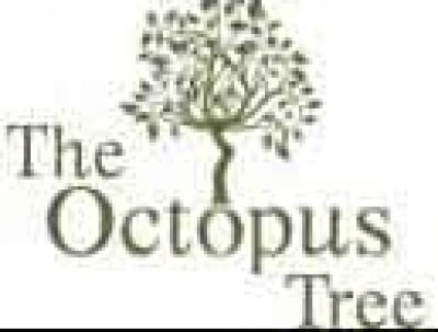 THE OCTOPUS TREE – KARRAS ELISABETH – ΜΕΖΕΔΟΠΩΛΕΙΟ-ΟΥΖΕΡΙ-ΤΣΙΠΟΥΡΑΔΙΚΟ – ΙΟΣ ΚΥΚΛΑΔΕΣ