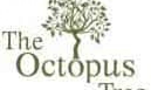 THE OCTOPUS TREE – KARRAS ELISABETH – ΜΕΖΕΔΟΠΩΛΕΙΟ-ΟΥΖΕΡΙ-ΤΣΙΠΟΥΡΑΔΙΚΟ – ΙΟΣ ΚΥΚΛΑΔΕΣ
