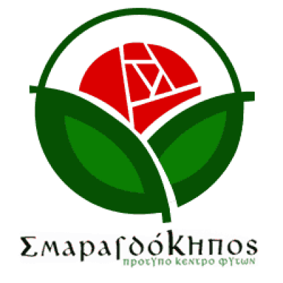 ΣΜΑΡΑΓΔΟΚΗΠΟΣ – ΠΡΟΤΥΠΟ ΚΕΝΤΡΟ ΦΥΤΩΝ (ΤΣΑΚΜΑΚΙΔΟΥ ΣΜΑΡΑΓΔΑ) – ΦΥΤΩΡΙΟ ΦΥΤΟΦΑΡΜΑΚΑ – ΘΕΣΣΑΛΟΝΙΚΗ