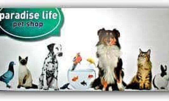 ΜΠΑΣΓΙΟΥΡΑΚΗΣ ΕΜΜΑΝΟΥΗΛ -PARADISE LIFE PET SHOP ΕΥΟΣΜΟΣ ΘΕΣΣΑΛΟΝΙΚΗΣ