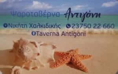 ΑΝΤΙΓΟΝΗ – DIMOVSKI TRAYCHE – ΨΑΡΟΤΑΒΕΡΝΑ – ΝΙΚΗΤΗ ΧΑΛΚΙΔΙΚΗΣ