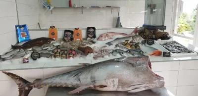ΚΟΥΣΤΑΣ Μ – ΣΓΟΥΡΟΣ Σ ΟΕ – IONIAN FRESH FISH – ΙΧΘΥΟΠΩΛΕΙΟ – ΑΓΝΙΤΣΙΝΗ ΚΑΡΟΥΣΑΔΕΣ ΚΕΡΚΥΡΑ