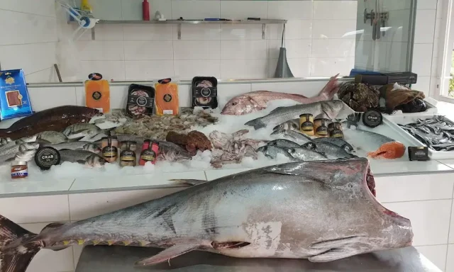 ΚΟΥΣΤΑΣ Μ – ΣΓΟΥΡΟΣ Σ ΟΕ – IONIAN FRESH FISH – ΙΧΘΥΟΠΩΛΕΙΟ – ΑΓΝΙΤΣΙΝΗ ΚΑΡΟΥΣΑΔΕΣ ΚΕΡΚΥΡΑ