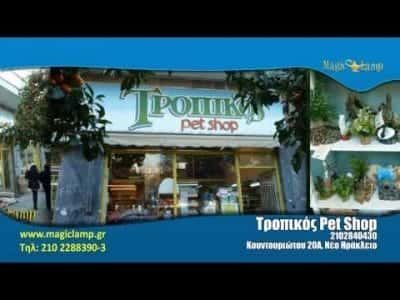 ΤΡΟΠΙΚΟΣ-PET SHOP ΝΕΟ ΗΡΑΚΛΕΙΟ ΑΤΤΙΚΗΣ-ΜΑΝΤΑΚΑ ΕΛΕΝΗ