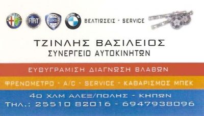 ΣΥΝΕΡΓΕΙΟ ΑΥΤΟΚΙΝΗΤΩΝ ΑΛΕΞΑΝΔΡΟΥΠΟΛΗ-ΤΖΙΝΛΗΣ ΒΑΣΙΛΕΙΟΣ
