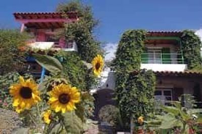 SUNFLOWERS – ΣΕΒΑΣΤΙΑΝΗ ΤΖΑΝΕΤΗ ΕΝΟΙΚΙΑΖΟΜΕΝΑ ΜΑΡΑΘΟΚΑΜΠΟΣ ΣΑΜΟΣ