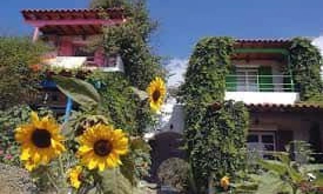 SUNFLOWERS – ΣΕΒΑΣΤΙΑΝΗ ΤΖΑΝΕΤΗ ΕΝΟΙΚΙΑΖΟΜΕΝΑ ΜΑΡΑΘΟΚΑΜΠΟΣ ΣΑΜΟΣ