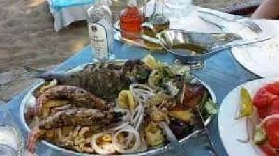 ΧΑΤΖΟΥΔΗΣ ΕΥΑΓΓΕΛΟΣ – ΠΑΛΙΡΡΟΙΑ – ΨΑΡΟΤΑΒΕΡΝΑ ΑΓΙΟΙ ΘΕΟΔΩΡΟΙ ΚΟΡΙΝΘΟΣ