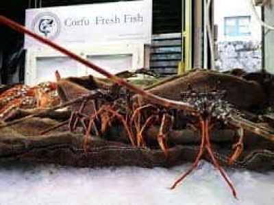 ΚΩΝΣΤΑΝΤΗΣ ΚΩΝΣΤΑΝΤΙΝΟΣ – CORFU FRESH FISH – ΙΧΘΥΟΠΩΛΕΙΟ – ΚΕΡΚΥΡΑ