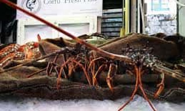 ΚΩΝΣΤΑΝΤΗΣ ΚΩΝΣΤΑΝΤΙΝΟΣ – CORFU FRESH FISH – ΙΧΘΥΟΠΩΛΕΙΟ – ΚΕΡΚΥΡΑ