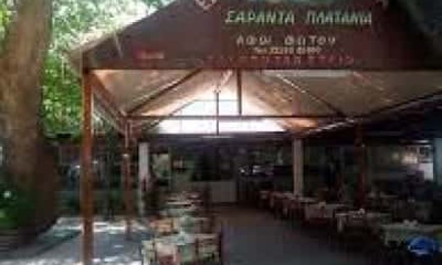ΦΩΤΟΥ ΧΑΡΙΚΛΕΙΑ – 40 ΠΛΑΤΑΝΙΑ – ΤΑΒΕΡΝΑ – ΑΙΔΗΨΟΣ ΕΥΒΟΙΑΣ