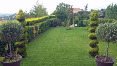 GARDEN ENGINEERING-ΚΑΤΑΣΚΕΥΗ ΚΗΠΩΝ ΚΡΥΟΝΕΡΙ ΑΤΤΙΚΗΣ-ΜΑΣΕΛΗΣ ΝΙΚΟΛΑΟΣ